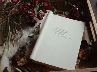 白皮书、纸张、室内、出版物、书籍、无人、植物、文本