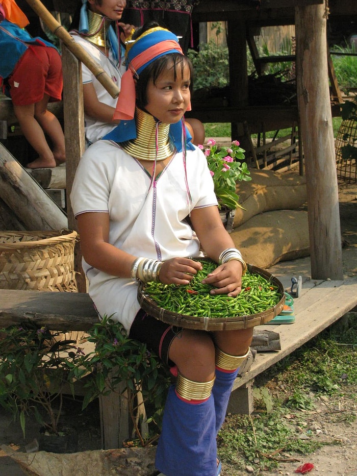 部落女人，部落，女人，亚洲人，文化，真人，女人，女人
