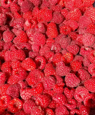 比利时，沃鲁韦圣兰伯特，罗拉波贝斯科街6号，覆盆子，浆果，森林水果，红色，水果