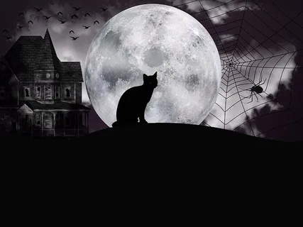 万圣节，夜晚，幻想，满月，黑暗，寒冷，黑暗，黑色