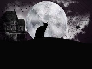 万圣节，夜晚，幻想，满月，黑暗，寒冷，黑暗，黑色