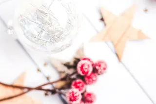 清晰的小玩意看到红色槲寄生的选择性聚焦照片