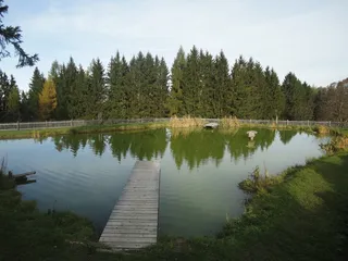 湖, 水, 静水, 卷筒纸, 休息, 自然保育, 森林, 镜像