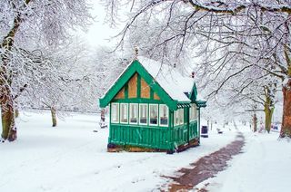 雪，雪，下雪，季节，冬天，树，没有叶子的树，房子