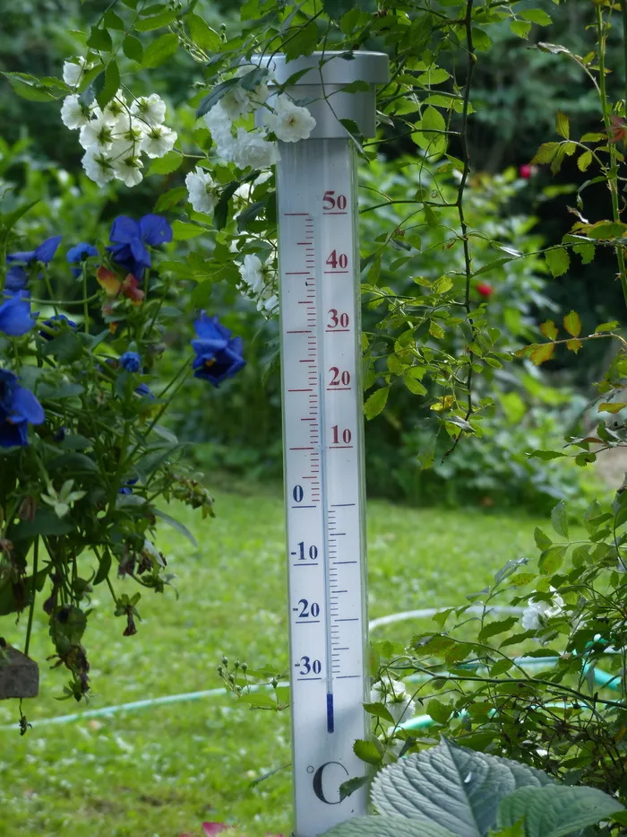 温度计，度，温度，aussentempteratur，气温，刻度，量度，摄氏度