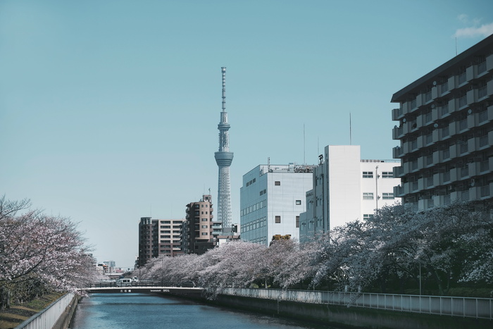 城市附近的河流