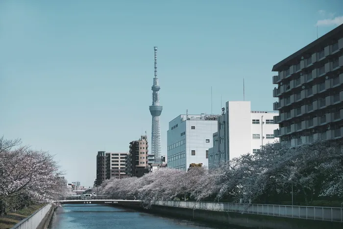 城市附近的河流