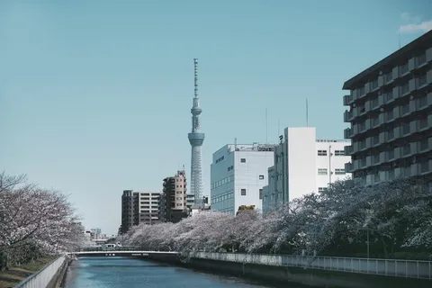 城市附近的河流 城市附近的河流