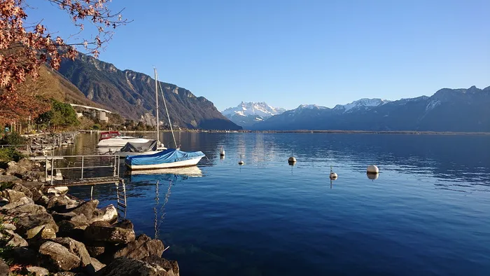 景观，湖泊，蒙特勒凹痕，船只，帆船，旅游，山，水