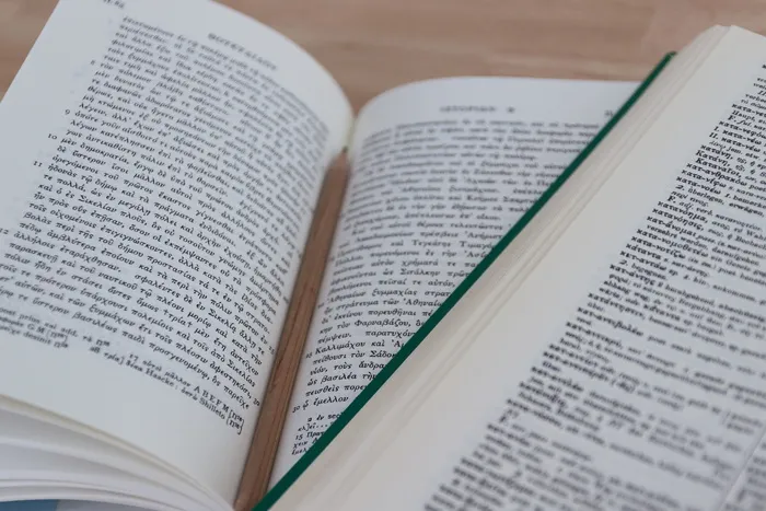 铅笔、内部、打开、书本、页面、纸张、文件、印章