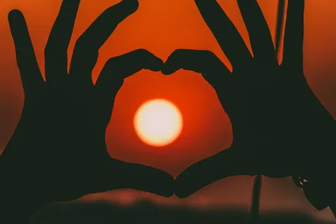 人的手的轮廓 人的手的轮廓