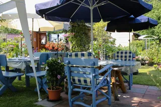 蓝色、户外、露台雨伞、节日、花园、庆典、夏季、派对