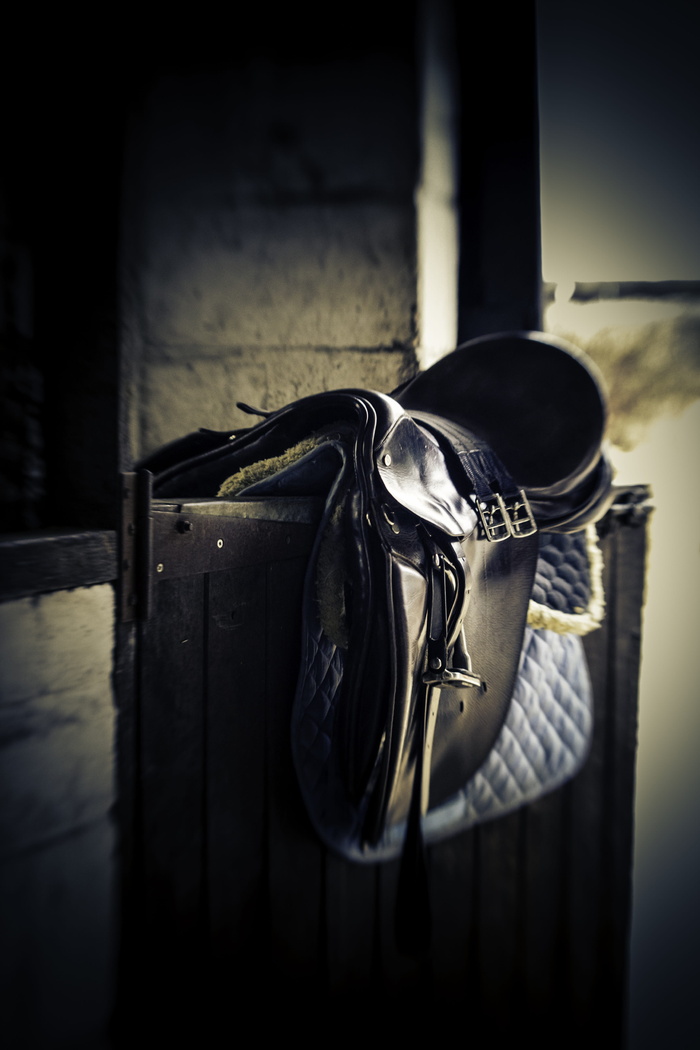 选择性的, 聚焦摄影, 黑色, 皮革马鞍, 板, 马鞍, Stable Door, Equestrian