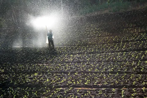 照片、人员、持有、软管、白天、现场、喷雾、水 照片、人员、持有、软管、白天、现场、喷雾、水