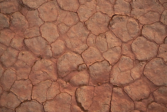 开裂棕色土壤，湿，干，壁纸，背景，撒哈拉，全框，背景