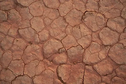 开裂棕色土壤,湿,干,壁纸,背景,撒哈拉,全框,背景 开裂棕色土壤,湿,干,壁纸,背景,撒哈拉,全框,背景
