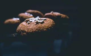 向日葵、饼干、种子、菜肴、烘焙、早餐、棕色、卡路里