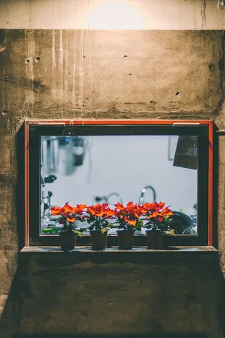 四个开橘子花的棕色花盆