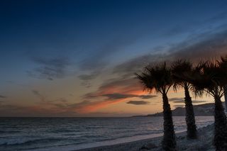 剪影摄影、树木、大海、中午、日落、尼迦、马拉加、码头