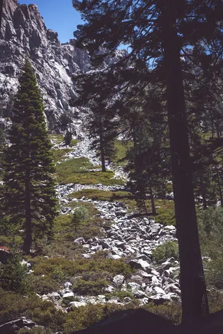 美国，喀斯喀特湖，植物，树木，土地，宁静，自然之美，森林