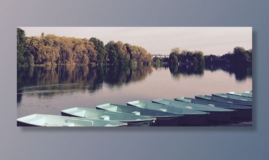 空的，白色的，独木舟，身体，水，树，蓝色的，独木舟