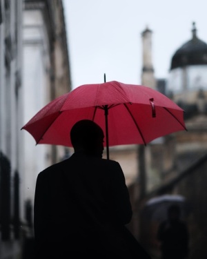 人，人，家伙，伞，雨，剪影，模糊，城市