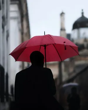 人，人，家伙，伞，雨，剪影，模糊，城市
