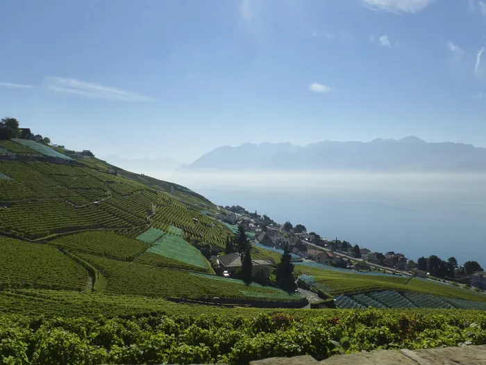 天空，湖泊，景观，自然，蓝天，天空，湖泊，白天，日内瓦湖