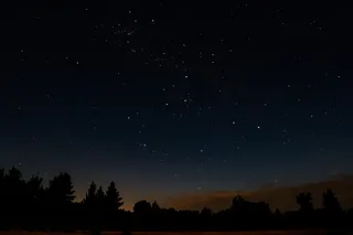 夜间树木轮廓照片