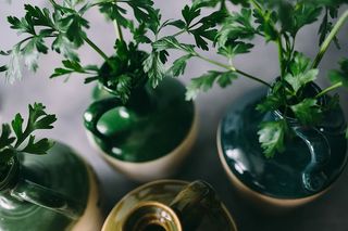 欧芹、黄瓜、青豆和其他绿色植物