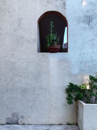 墨西哥，卡门海滩，calle 24 nte 172，棕榈，拱门，混凝土，绿色，墙