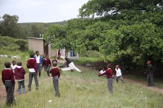 南非，东开普省，植物，树，一群人，真实的人，男人，草