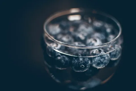 食物，健康，水，深色，浆果，蓝莓，干净，透明