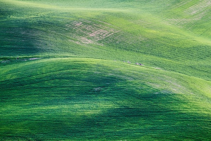 青山画