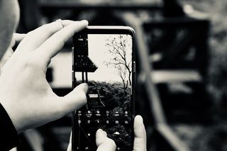 photo，cellular，curitiba，woods，german，人手，技术，手