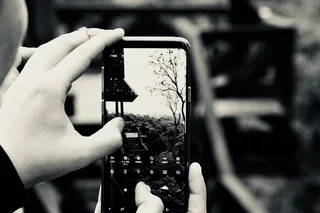 photo，cellular，curitiba，woods，german，人手，技术，手