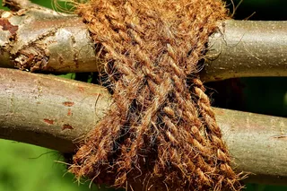 围栏、美学、结、绳、绑在一起、特写、聚焦前景、白天