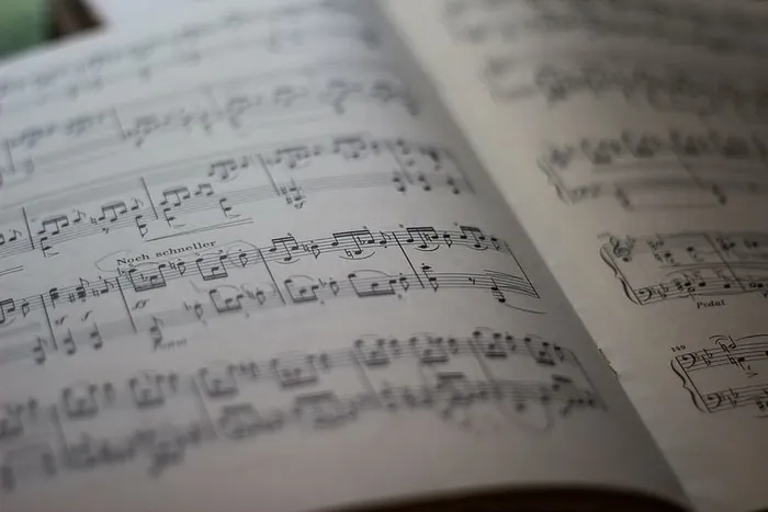 白色乐谱，音乐，坚果，音符，乐谱，乐谱，纸，选择性聚焦