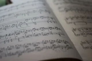 白色乐谱，音乐，坚果，音符，乐谱，乐谱，纸，选择性聚焦