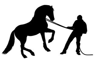 马和驯马师的剪影