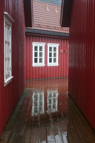 挪威，斯堪的纳维亚，斯沃夫尔，洛弗顿，建筑结构，建筑外观，建筑