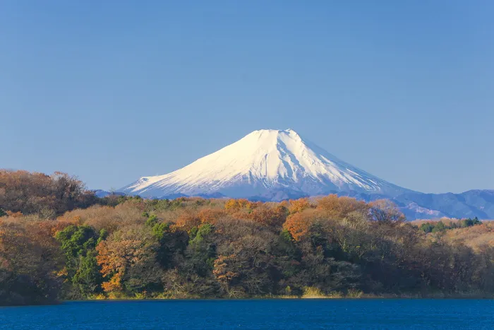 富士山，富士山，日本，蓝天，天，山，山，自然，秋天的叶子