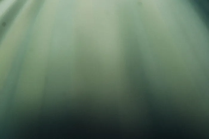 不同深浅的绿色