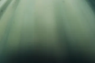 不同深浅的绿色