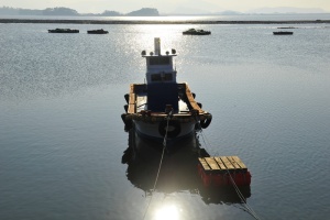 休息，时间，海岸，捕鱼船队，海洋，水，航海船舶，运输