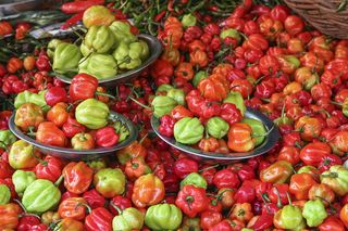 蔬菜，辣椒，红，红辣椒，市场，食品，青椒，厨房