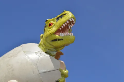 恐龙、蛋、孵化、孵化、爬行动物、史前、侏罗纪、恐龙