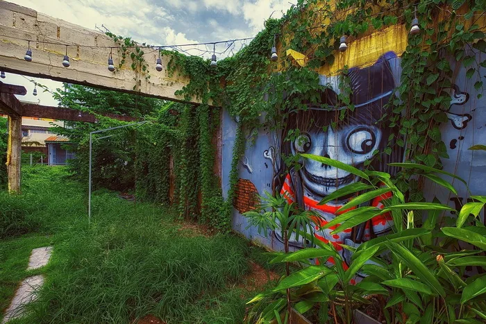 墙壁，颜色，绘画，墙壁，建筑外观，建筑结构，绿色，建筑