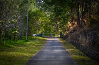 空的、灰色的、混凝土的、道路的、绿色的、草的、朝向的、黑色的