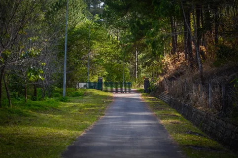 空的、灰色的、混凝土的、道路的、绿色的、草的、朝向的、黑色的 空的、灰色的、混凝土的、道路的、绿色的、草的、朝向的、黑色的
